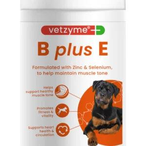 Vetzyme Papildas šunims B+E N200