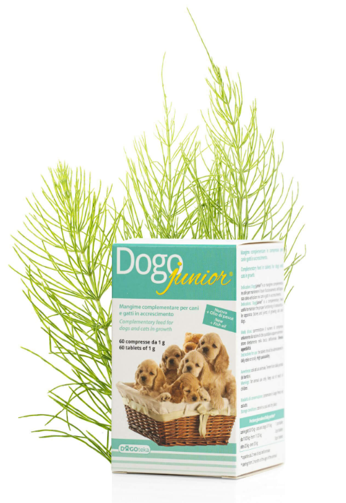 DOGOTEKA DOGOjunior papildas augantiems šuniukams ir kačiukams N60