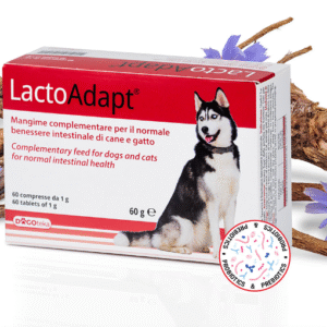 DOGOTEKA LactoAdapt probiotikų ir prebiotikų papildas šunims ir katėms 60 tabl.