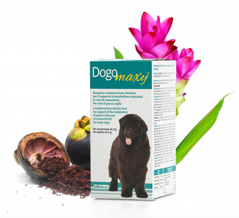 DOGOTEKA DOGOmaxy papildas sąnarių stiprinimui didelių veislių šunims 60 tabl.