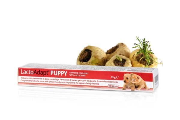 DOGOTEKA LactoAdapt Puppy priešpienio ir probiotikų pasta šuniukams ir kačiukams 15 g