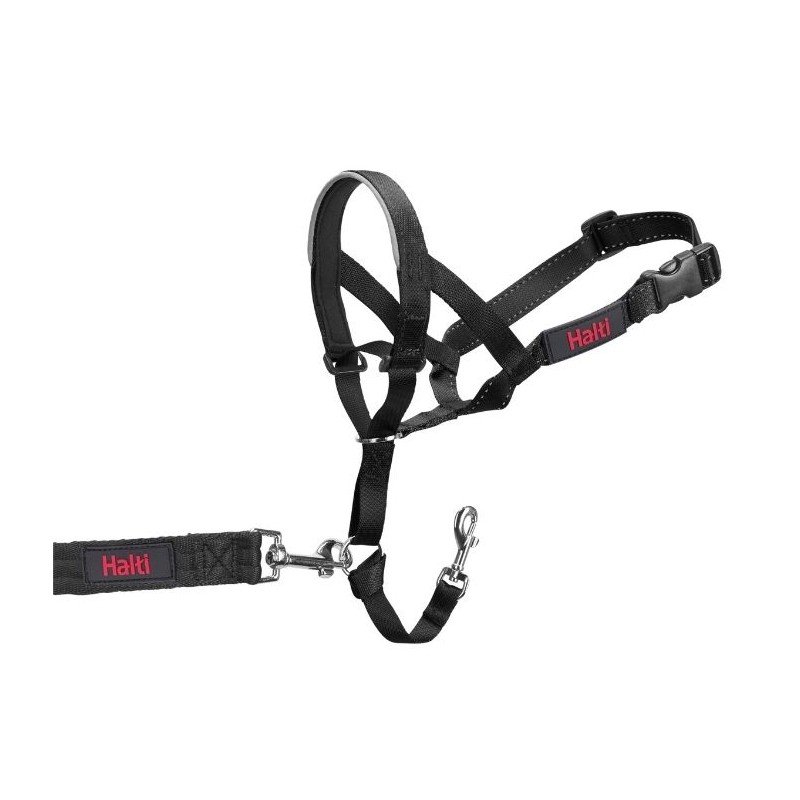 Company Of Animals HALTI Headcollar dresūros antsnukis šunims nuo tempimo Įv. Dydžių - Image 2