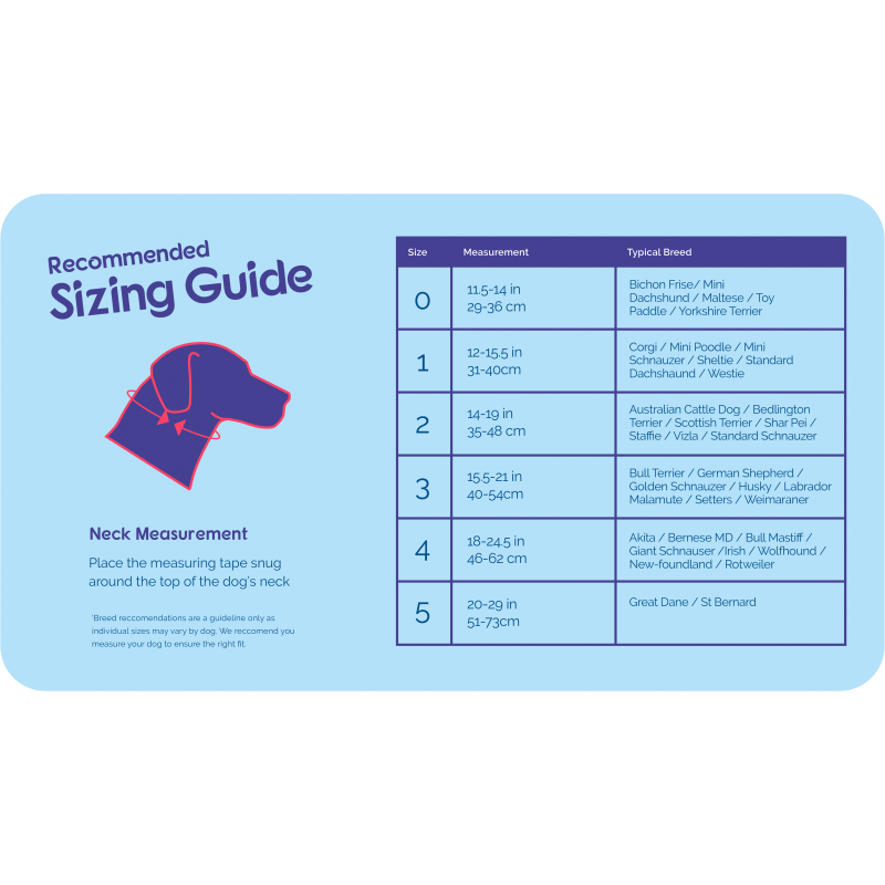 Company Of Animals HALTI Headcollar dresūros antsnukis šunims nuo tempimo Įv. Dydžių - Image 3