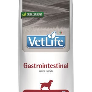Farmina Vet Life Dog Gastrointestinal – veterinarinis sausas maistas šunims su lašiša ir žirniais