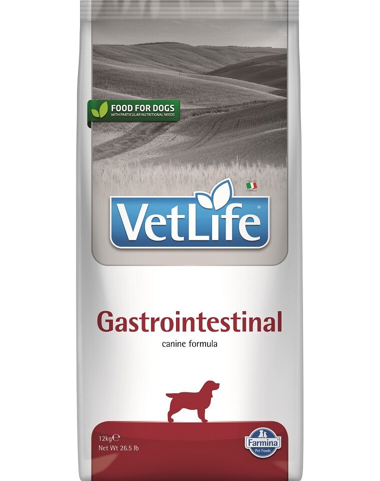 Farmina Vet Life Dog Gastrointestinal – veterinarinis sausas maistas šunims su lašiša ir žirniais