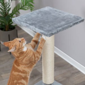 Trixie Baena draskyklė stulpas katei, 69 cm, pilka