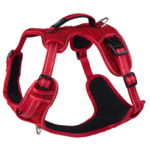ROGZ Utility Explore petnešos šunims su 2 funkcijomis nuo tempimo ir kasdieniam vedžiojimui Raudona/Juoda Įv., dydžių